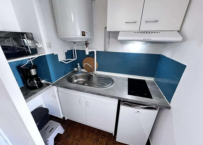 Calme, Vue Canal, Proche Et Commerces - Fr-1-702-71 * Agde